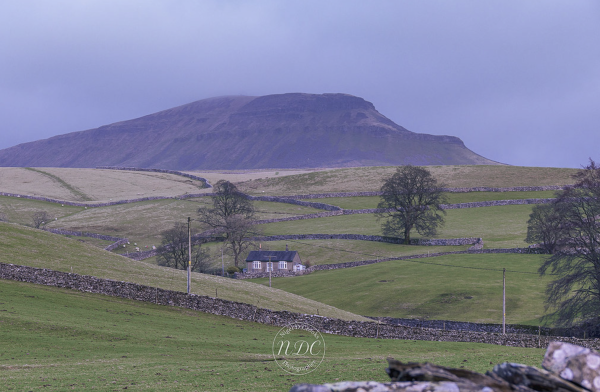 View of Penyghent from Brackenbottom